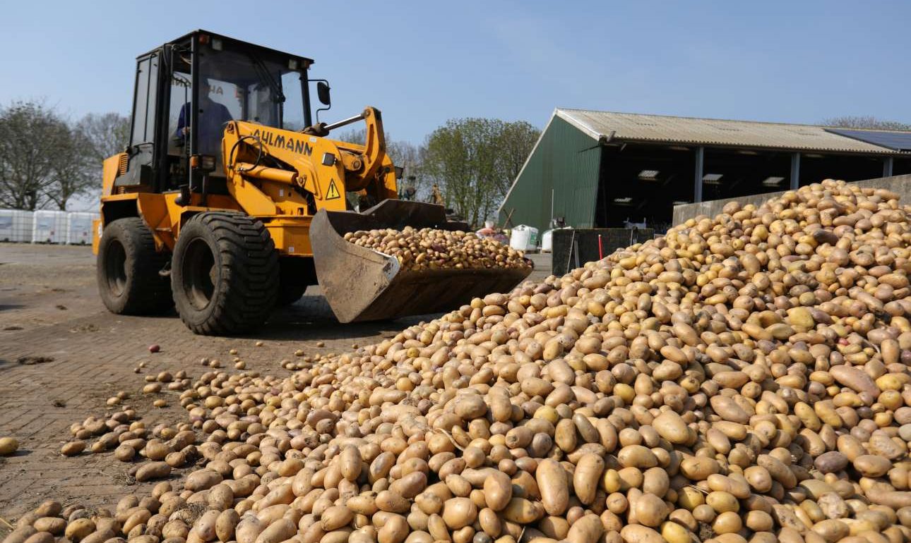 «Βουνά» από τρόφιμα σαπίζουν σε χωράφια και αποθήκες του πλανήτη λόγω του κορονοϊού
