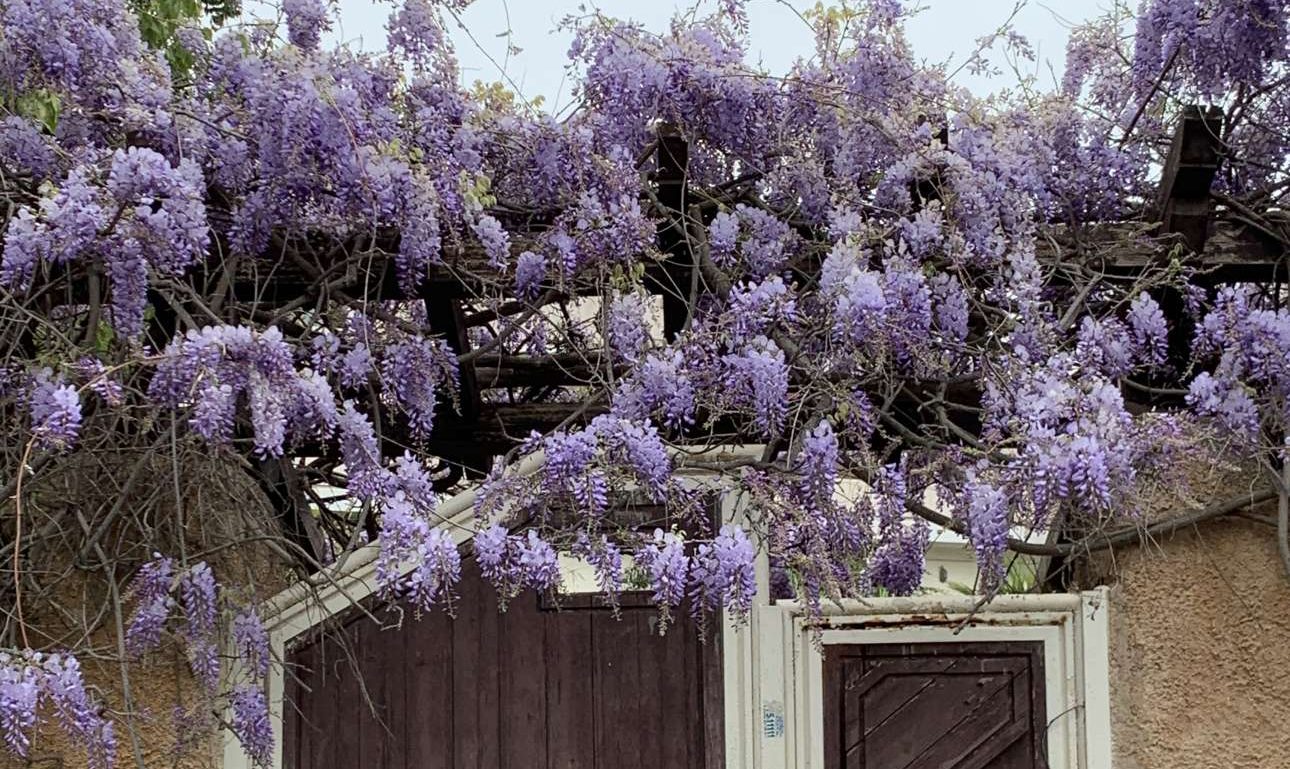 Βόλτα στα χρόνια του κορονοϊού