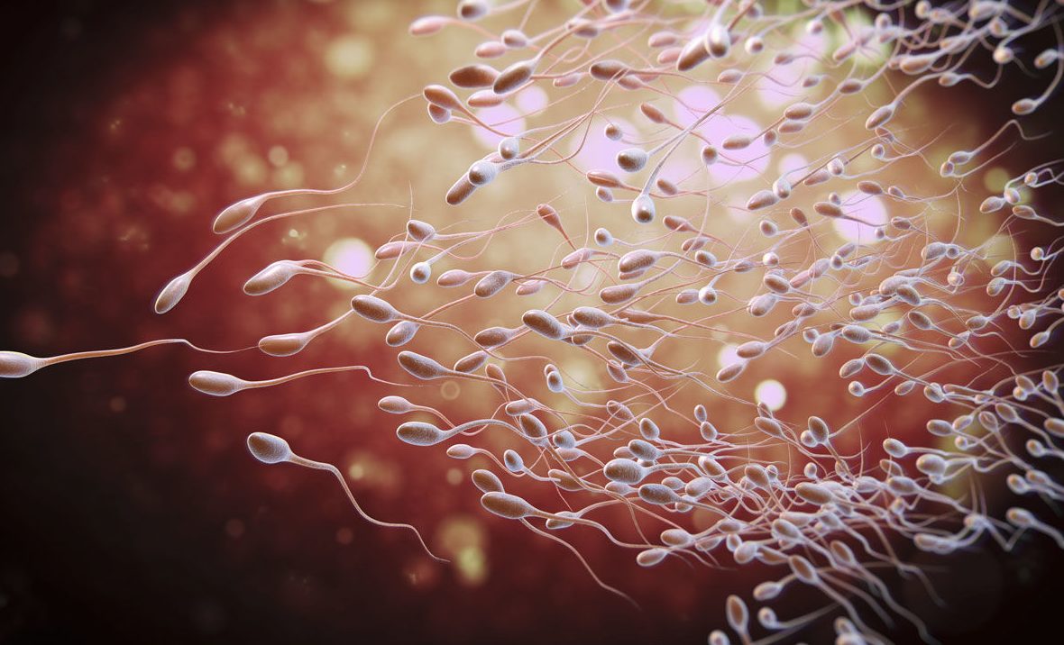 Κολλάει με το σπέρμα ο κορονοϊός;