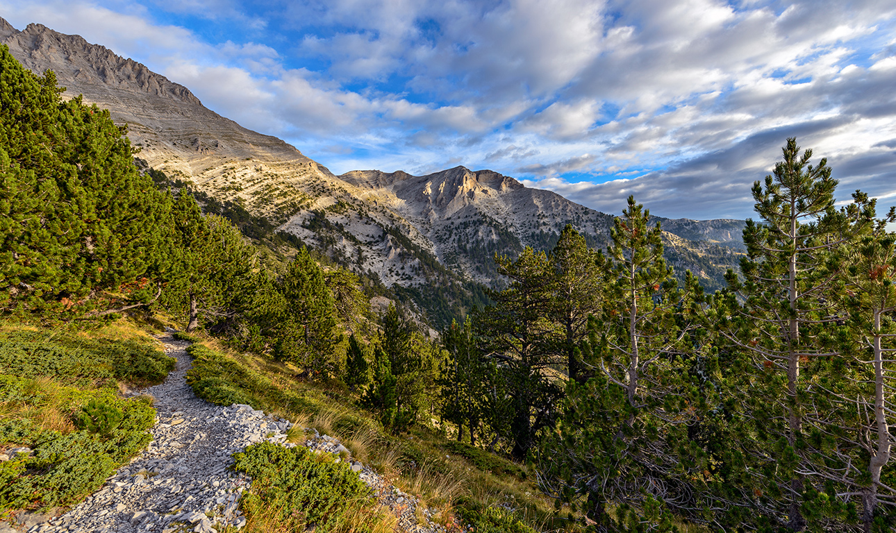 Οι Ρούσβελτ και ο δικός μας Ολυμπος που περιμένει… Πόσο ακόμη;