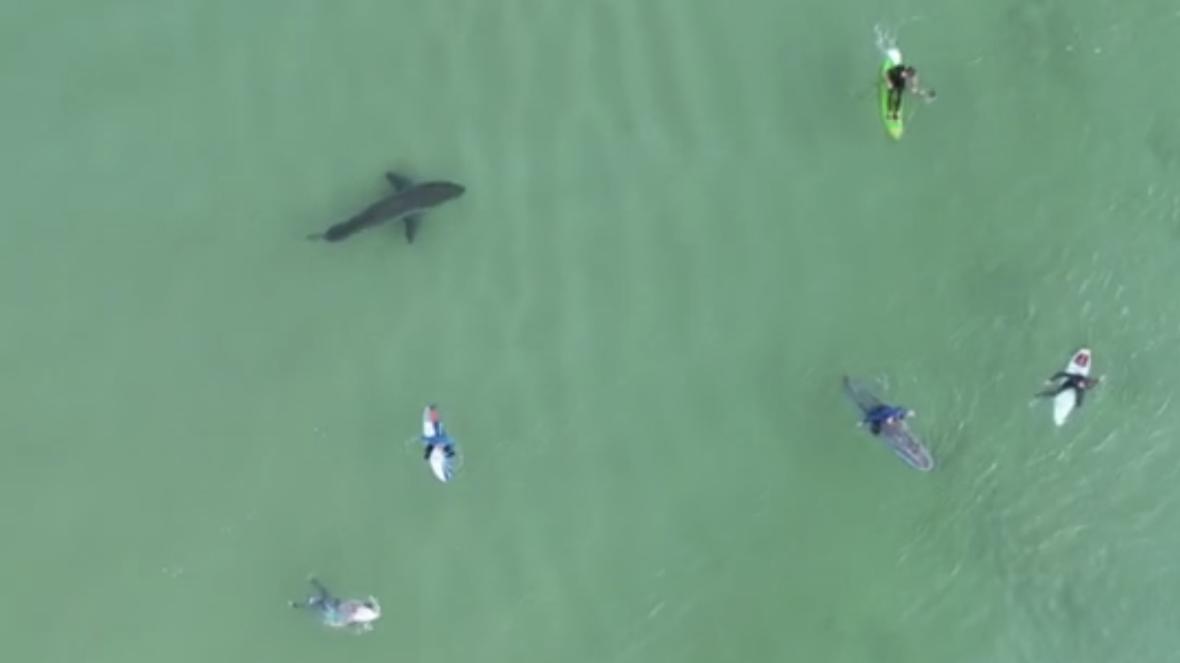 Νότια Αφρική: Drone εντοπίζει λευκό καρχαρία σε απόσταση αναπνοής από αμέριμνους σέρφερ