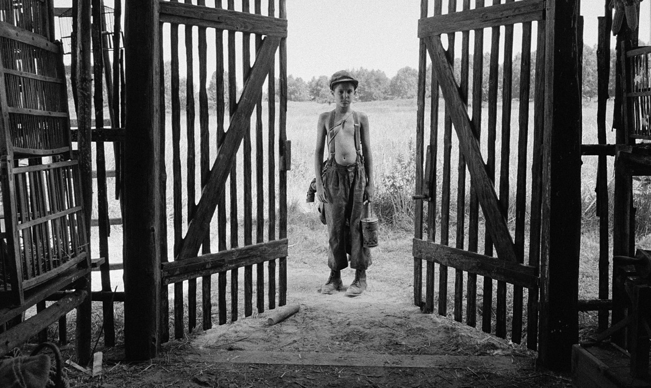 «Το βαμμένο πουλί»: Η πιο τρομακτική ταινία που γυρίστηκε ποτέ