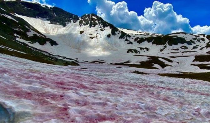 Στις Αλπεις το χιόνι βάφτηκε ροζ