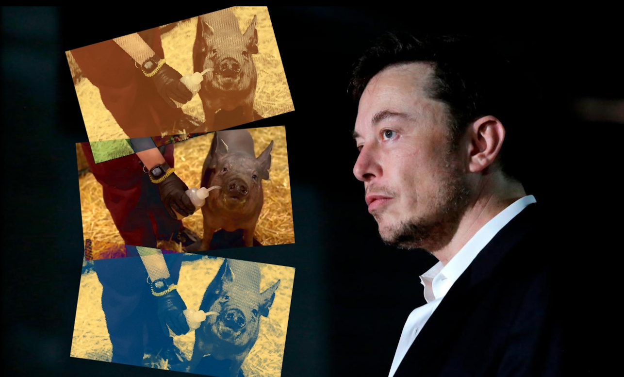 Tα τρία γουρουνάκια του Ελον Μασκ