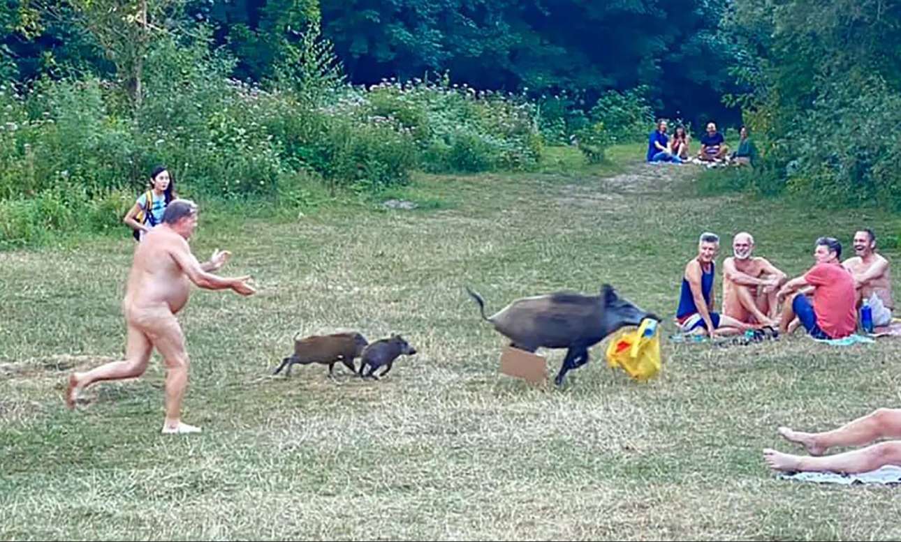 Γερμανία: Γυμνιστής κυνηγάει ένα αγριογούρουνο που του έκλεψε… το λάπτοπ