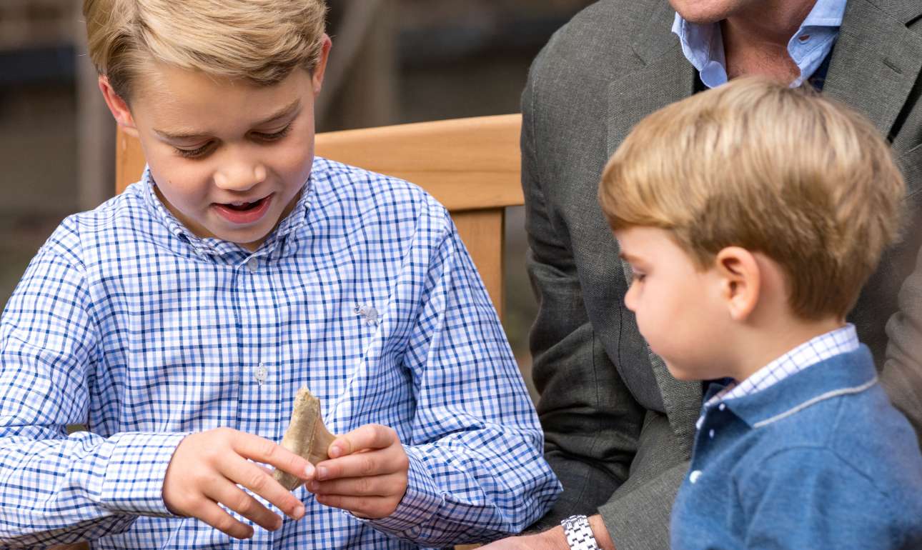 Γιατί η Μάλτα ζητεί από τη Βρετανία ένα απολιθωμένο δόντι καρχαρία;