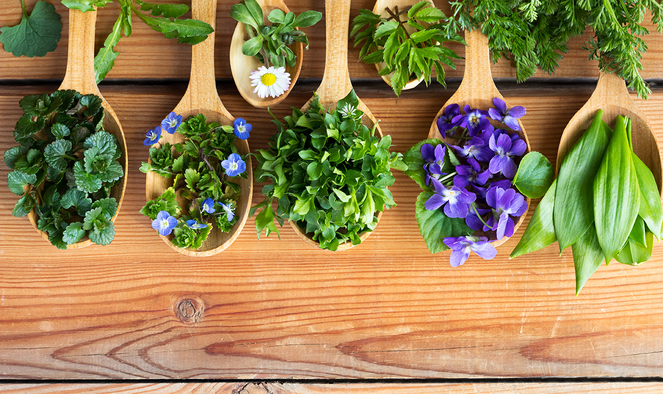 Χιλιάδες φυτά έτοιμα να εισβάλουν στα πιάτα μας