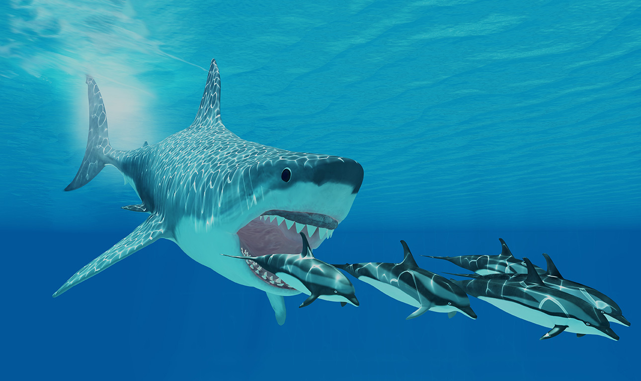 Η αποκάλυψη του Μεγαλόδοντα