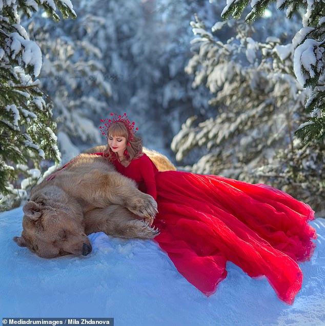 Κολοσσιαία αρκούδα στην Ρωσία έγινε κορυφαίο… μοντέλο