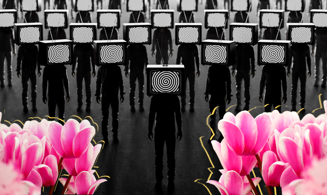 Κυκλάμινα και φέτος