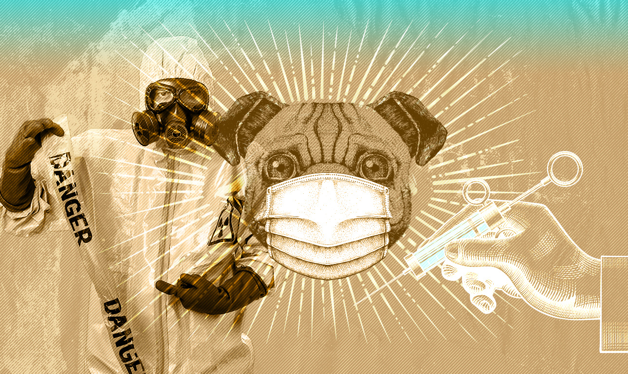 Περί σκύλων και καμηλιέρηδων