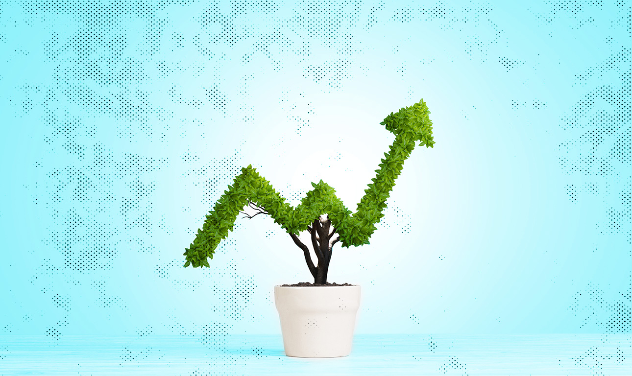 Πράσινα σπίτια, στο πράσινο κύμα