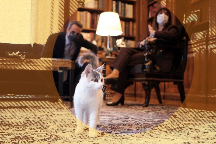 Ιστορίες πολιτικής ελαφρότητας #95