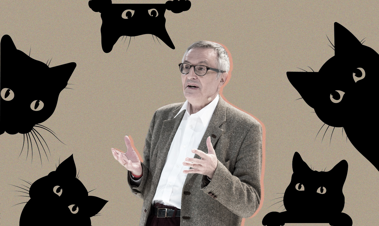 Για καλύτερη ζωή, να το φιλοσοφούμε όπως οι… γάτες