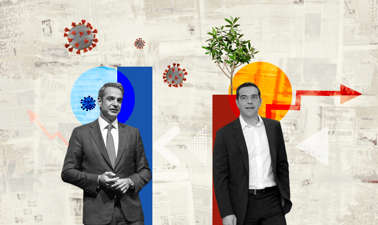 Δημοσκοπήσεις: Ο βασιλικός και το ελαιόδεντρο