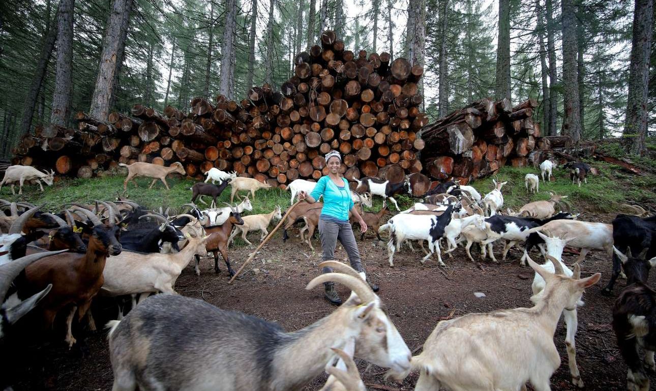 Θρήνος για τη μετανάστρια που είχε ριζώσει στα βουνά της Ιταλίας