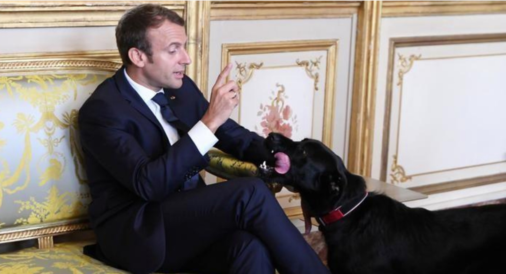 Ο Μακρόν ανέλαβε προσωπικά την προστασία των ζώων