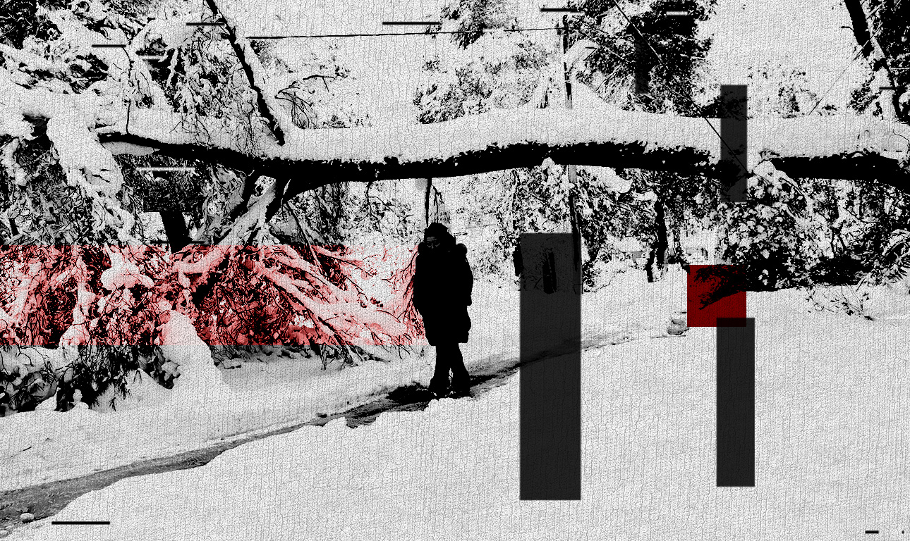 Ποιος ευθύνεται για το κλαδί;