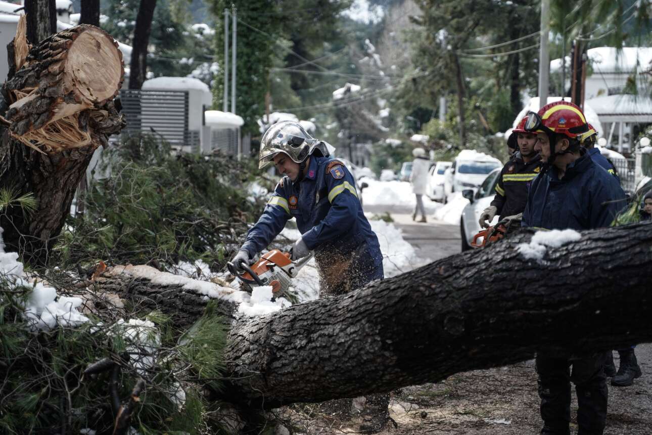 Κλαυσίγελος από το γαϊτανάκι ευθυνών ΚΕΔΕ – ΔΕΔΔΗΕ για το κλάδεμα των δέντρων