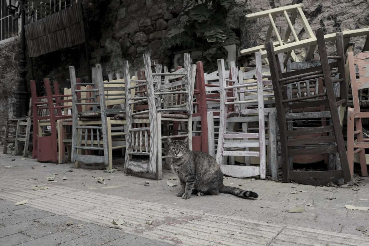 Ακορντεόν και μπαγλαμάδες