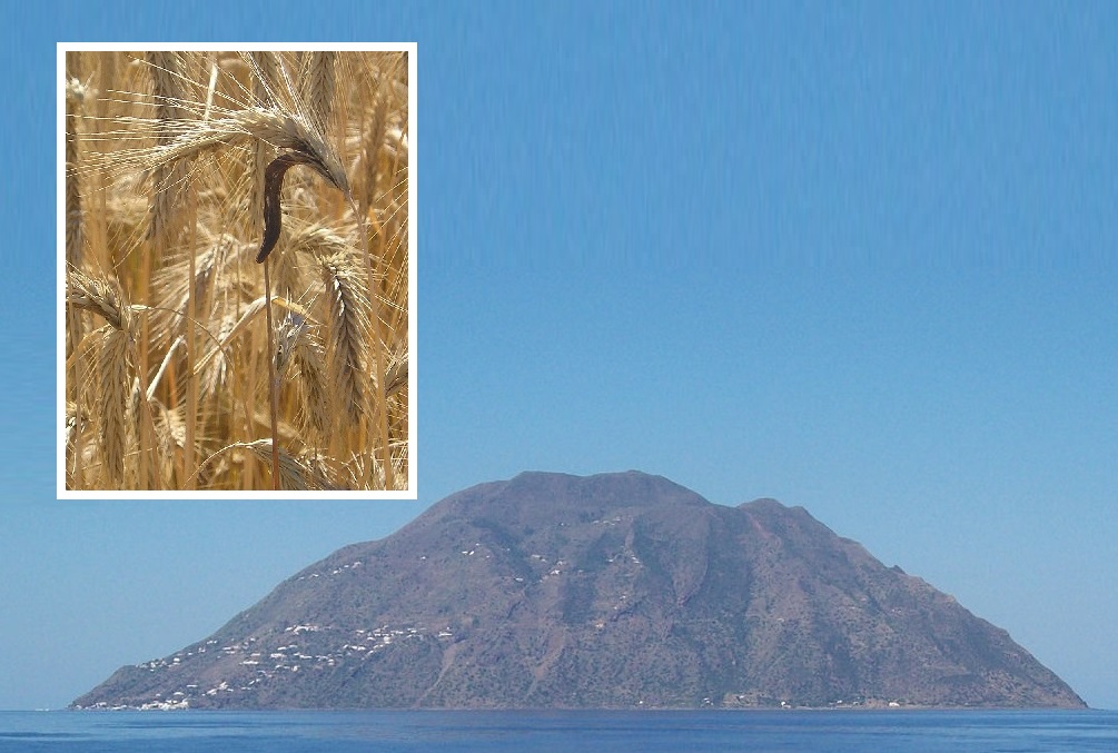 Το μυστικό του ψωμιού που… μαστούρωνε ολόκληρο νησί