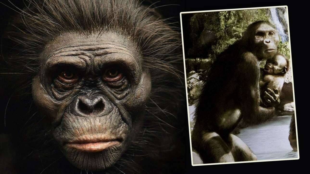 Ενα νέο πρόσωπο για τη Λούσι, τη «γιαγιά της ανθρωπότητας»