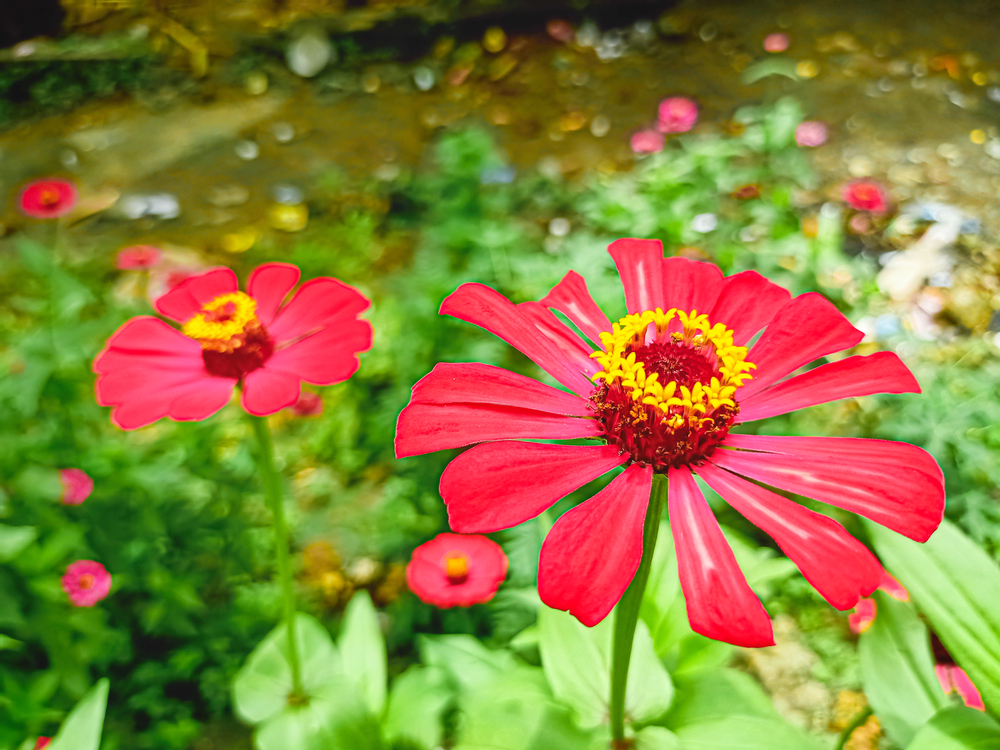 Τα επόμενα έπιπλα μας θα είναι από ξύλο εργαστηρίου