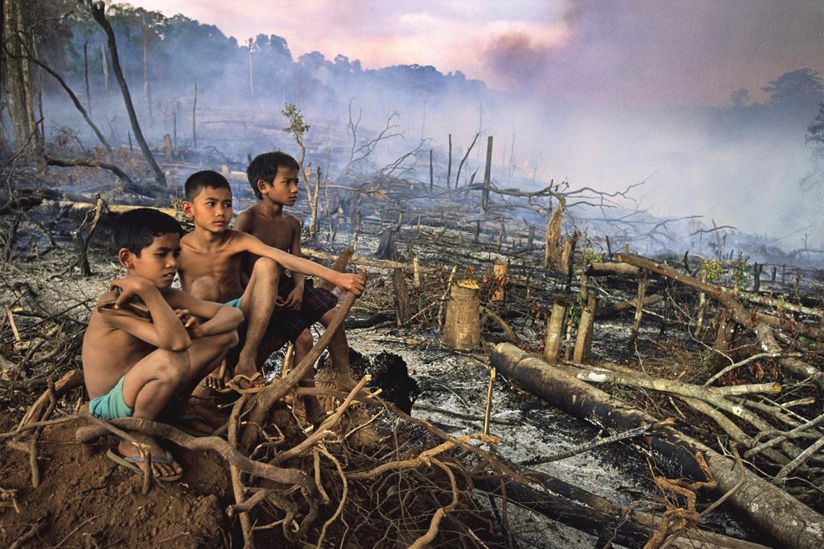 Μικρά παιδιά κάθονται στους πεσμένους κορμούς δέντρων που αποψιλώθηκαν σε ένα δάσος της Καμπότζης. Μεγάλο μέρος των δασών της Καμπότζης αποψιλώθηκε κατά την διάρκεια του πολέμου του Βιετνάμ και η αποψίλωση συνεχίστηκε και τις επόμενες δεκαετίες. Την δεκαετία του 1990, για να χρηματοδοτήσουν τον στρατό τους, οι Ερυθροί Χμερ επέτρεψαν την μαζική καλλιέργεια δέντρων καουτσούκ στα δάση με στόχο την παράνομη πώληση ξυλείας στην Ταϊλάνδη. Η διεθνής κοινή γνώμη άρχισε να αντιλαμβάνεται το μέγεθος της καταστροφής το 2012 μετά από την δολοφονία ενός ακτιβιστή που κατήγγειλε όσα συνέβαιναν με την αποψίλωση στην Καμπότζη. Εκτιμάται ότι το 1965 είχε αποψιλωθεί περίπου το 27% των δασών της Καμπότζης και το 2014 το ποσοστό αυτό είχε φτάσει στο 53%