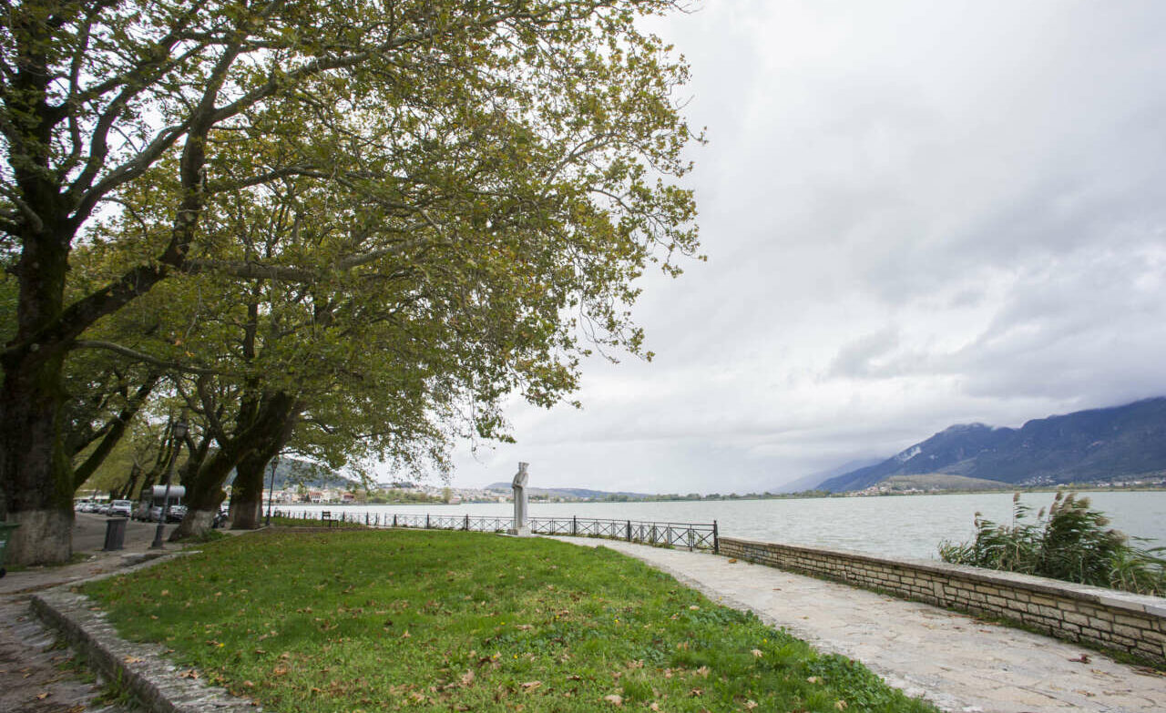 Τι απαντά ο Θεμιστοκλέους για τον «εκτός λίστας» εμβολιασμό στα Ιωάννινα