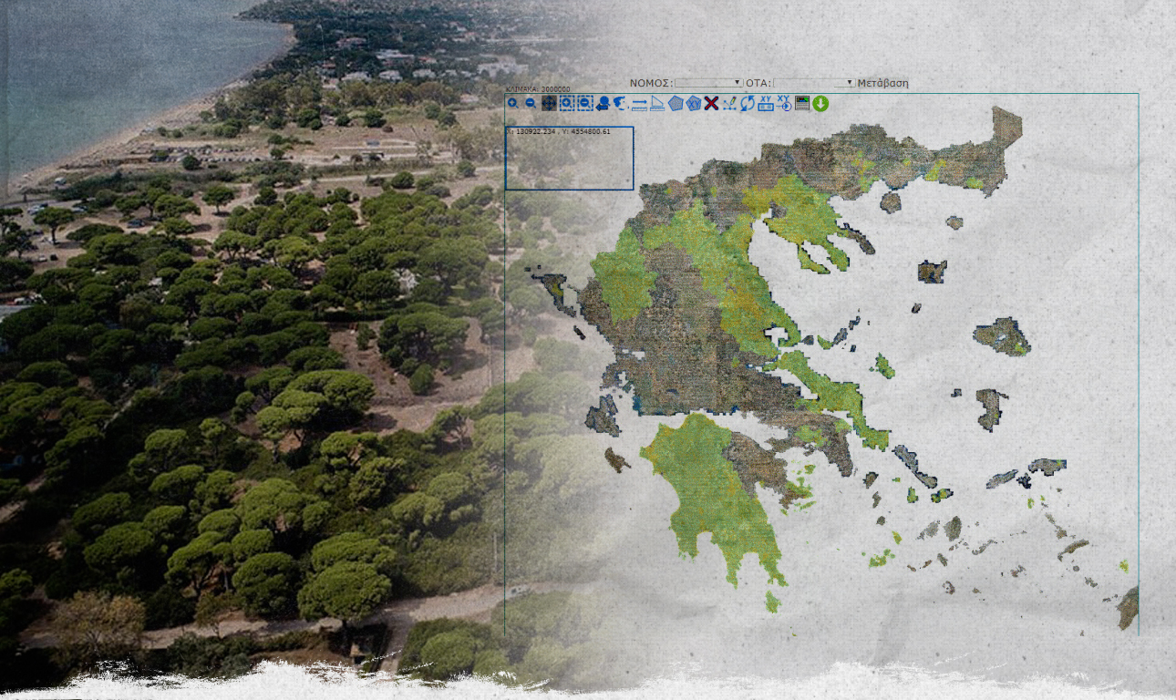 Ερωτήσεις και απαντήσεις: Η αλήθεια για τους δασικούς χάρτες