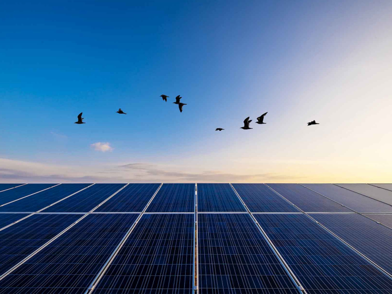 H Mytilineos καινοτομεί με blockchain ΡΡΑ στην Αυστραλία