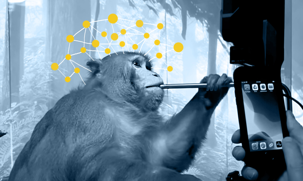 Το μυαλό του πιθήκου