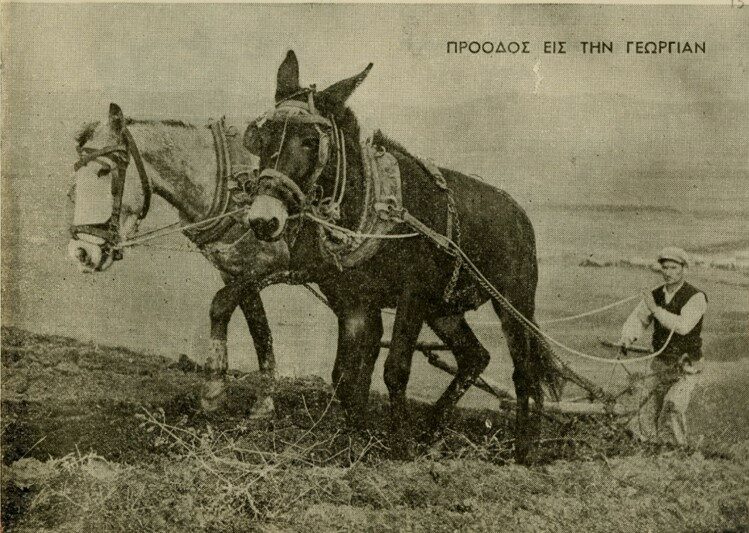 «Ιστορία της Ελλάδας του 20ού αιώνα»: Μια σειρά συζητήσεων από το ΠΙΟΠ