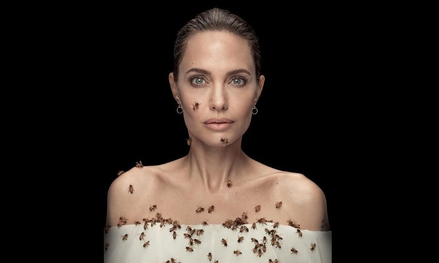 Επιτέλους, οι μέλισσες βρήκαν τη βασίλισσά τους!