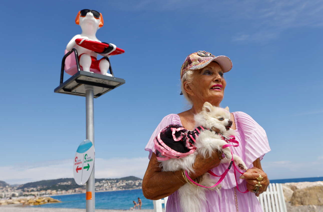 Επιτέλους! Οι σκύλοι θα μπορούν και αυτοί να χαίρονται την πλαζ της Νίκαιας