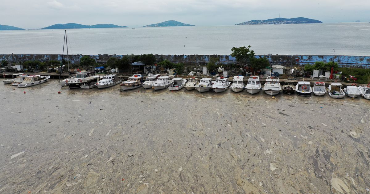 Κωνσταντινούπολη: Μυστηριώδης βλέννα σκοτώνει τη Θάλασσα του Μαρμαρά