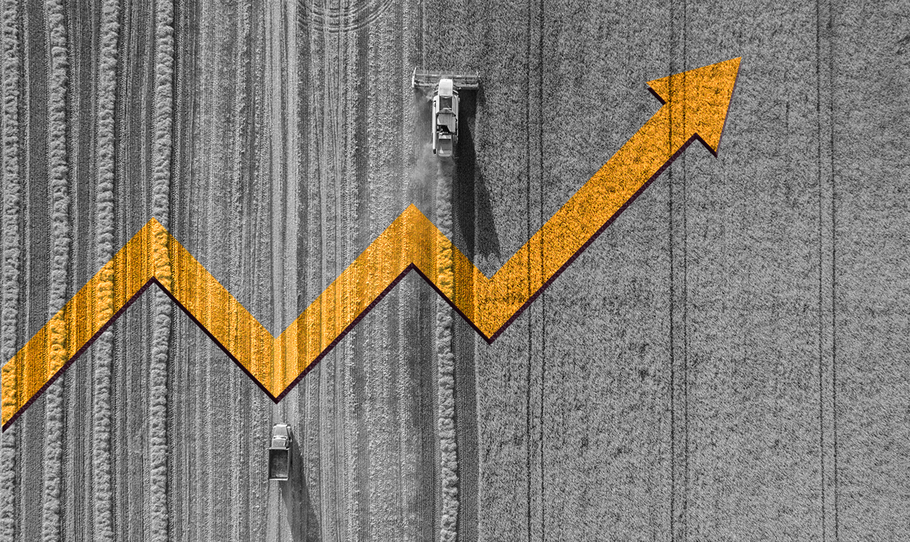 Γιατί αυτό το παγκόσμιο μεγάλο άλμα στις τιμές των τροφίμων