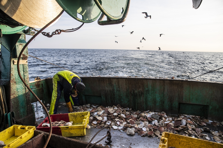 Ανησυχητικό μήνυμα από τη Γαλλία: πώς φτάνουν στο πιάτο μας επικίνδυνα βαρέα μέταλλα