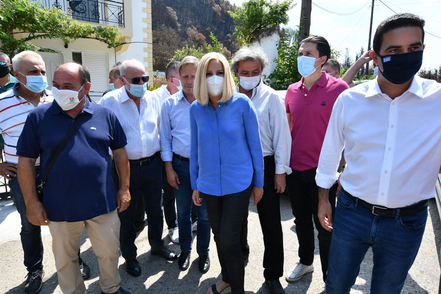 Τη «Μαξίμου ΑΕ» κατήγγειλε από την Ηλεία η Φώφη Γεννηματά