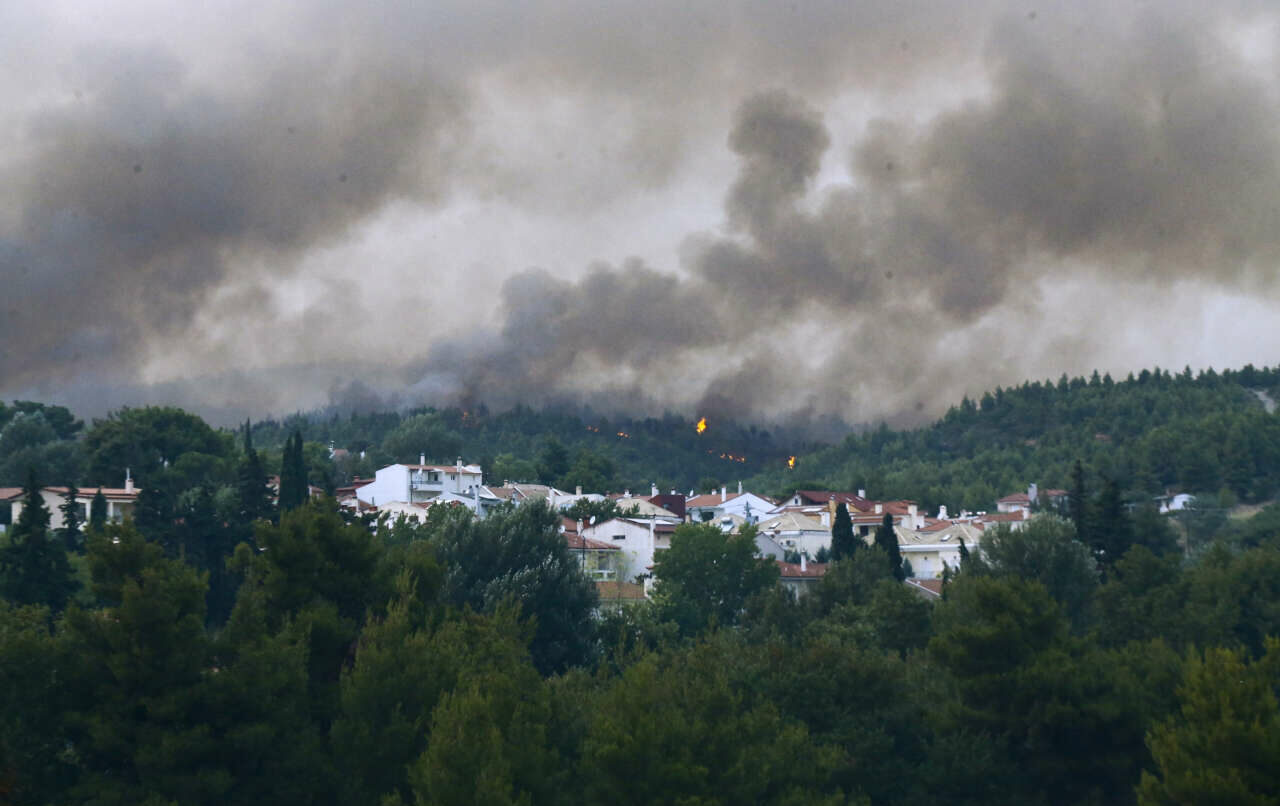 Απαγόρευση κυκλοφορίας μέχρι τη Δευτέρα σε δάση και άλση