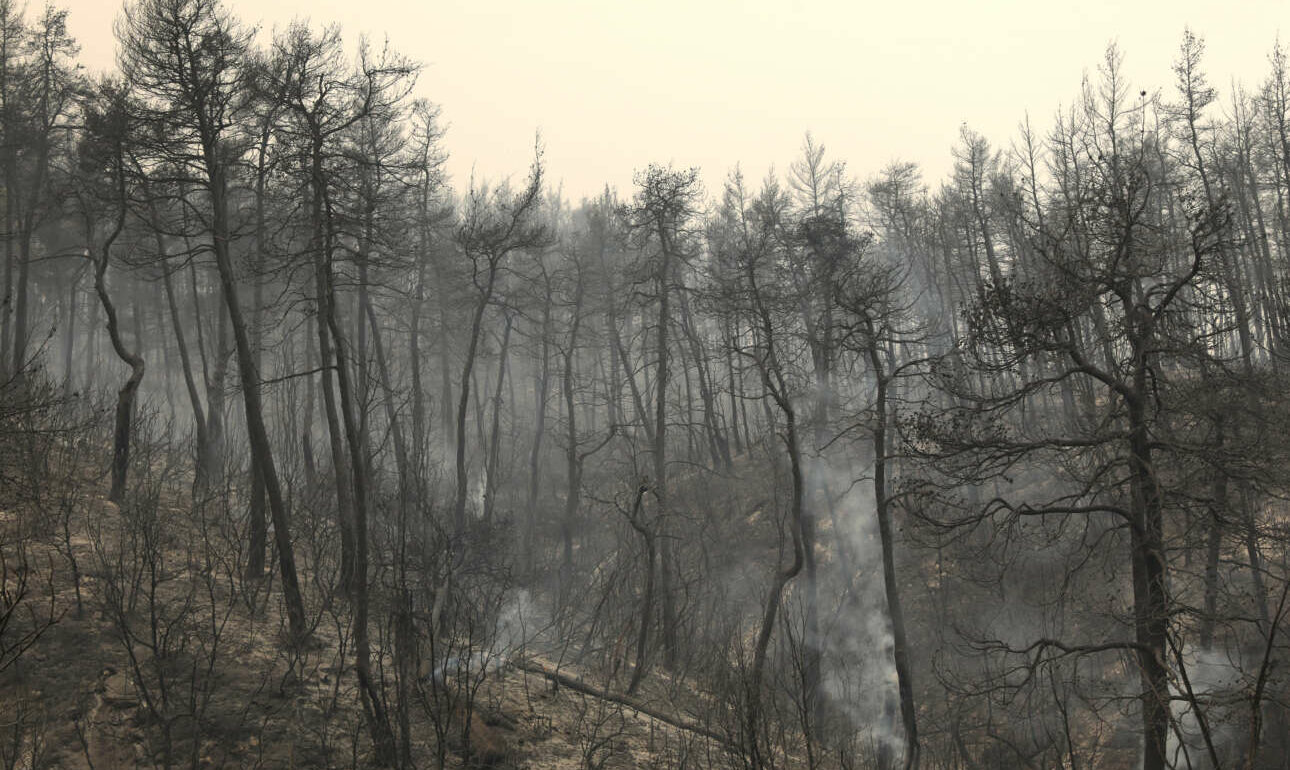 Τι προβλέπει η ΠΝΠ για τους πυρόπληκτους