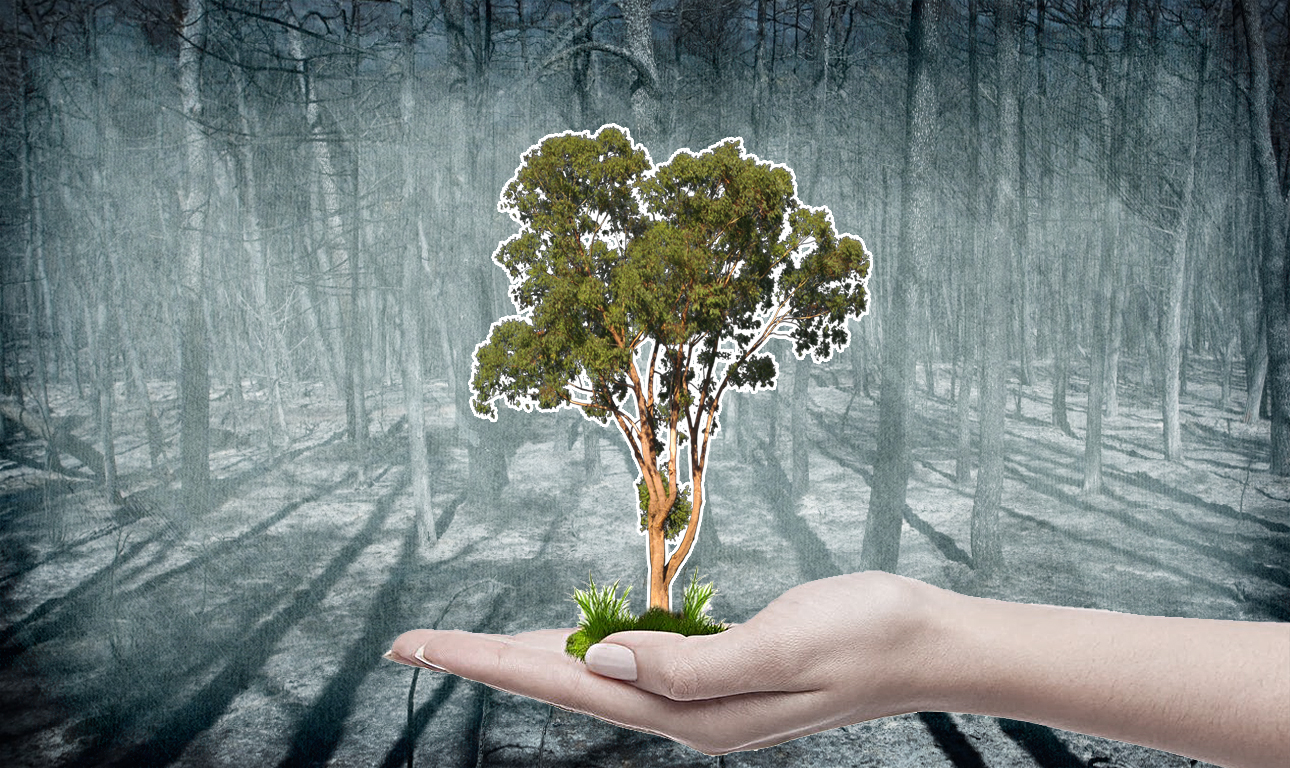 Η έξυπνη, γρήγορη λύση απέναντι στην καταστροφή