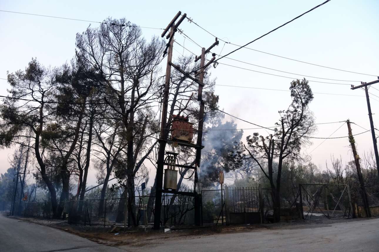 Εισαγγελική παρέμβαση για τα αίτια της πυρκαγιάς στη Βαρυμπόμπη