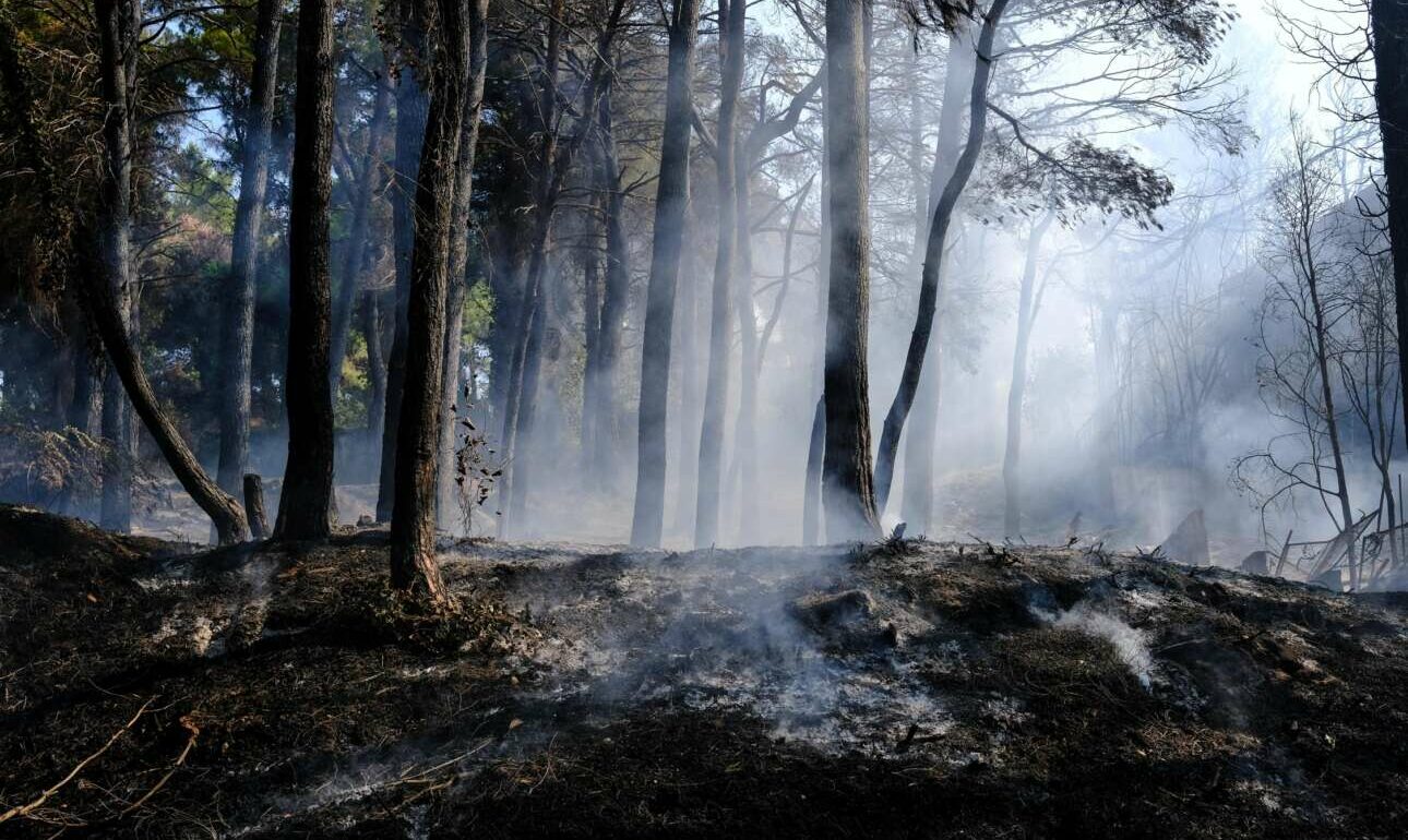Meteo: Η καμένη έκταση στην Ελλάδα ξεπερνά φέτος τα 930.000 στρέμματα