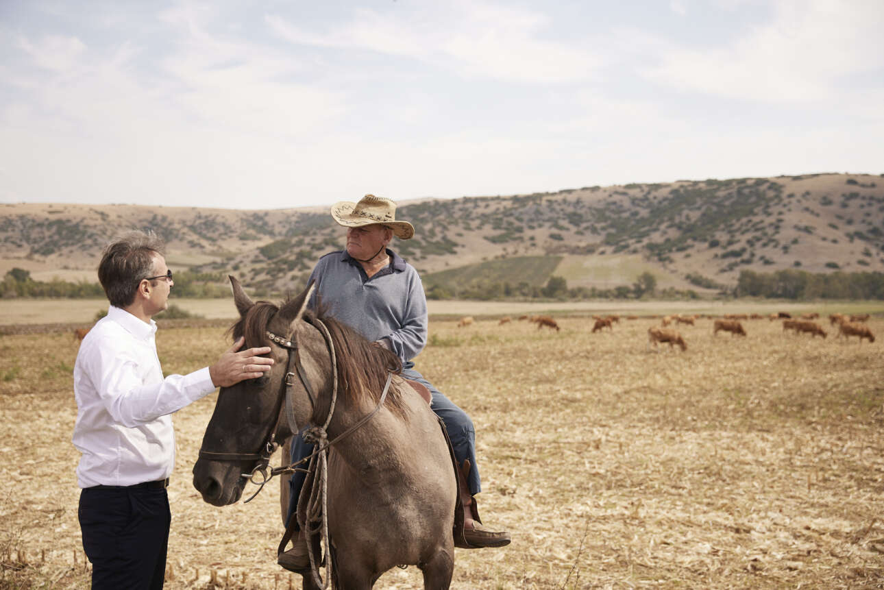 H απρόσμενη συνάντηση Μητσοτάκη στο Δαμάσι με τον καβαλάρη «Ντάλτον»!