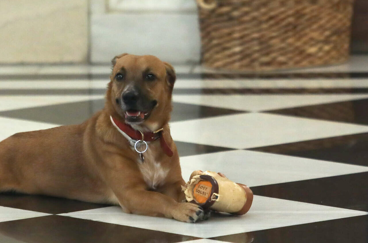 Η πρώτη… παρέμβαση του Πίνατ σε συνέντευξη Τύπου στο Μαξίμου