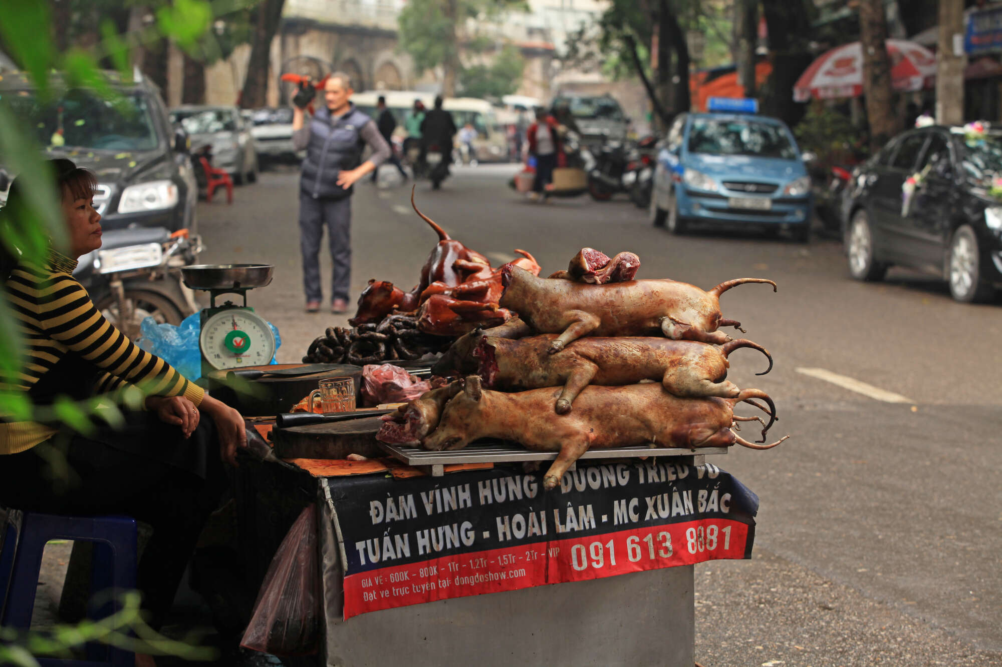 Νότια Κορέα: Θα απαγορευτεί οριστικά η κατανάλωση κρέατος σκύλων;