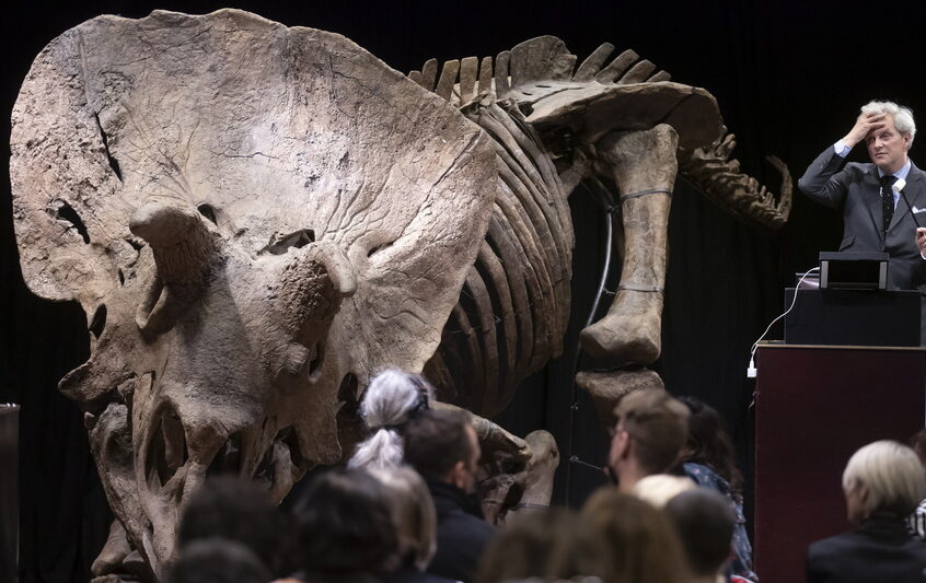 Παρίσι: Ο μεγαλύτερος τρικεράτωψ που έχει βρεθεί ποτέ πουλήθηκε για $6,6 εκατ.