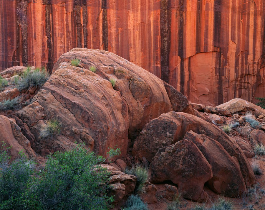 Μια κόκκινη πρόσοψη βράχου διακρίνεται πίσω από αρκετούς κοκκινωπούς ογκόλιθους. Επιλαχών, Φωτογράφος της Χρονιάς (3 από 3)