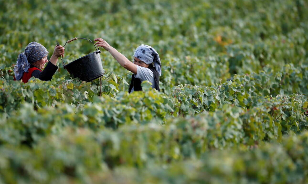 Ευρώπη: Κακή χρονιά για το κρασί το 2021